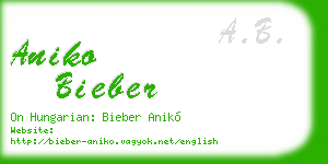 aniko bieber business card