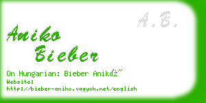 aniko bieber business card